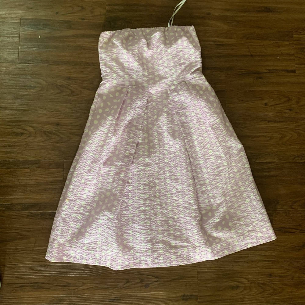 J Crew Purple & white dress